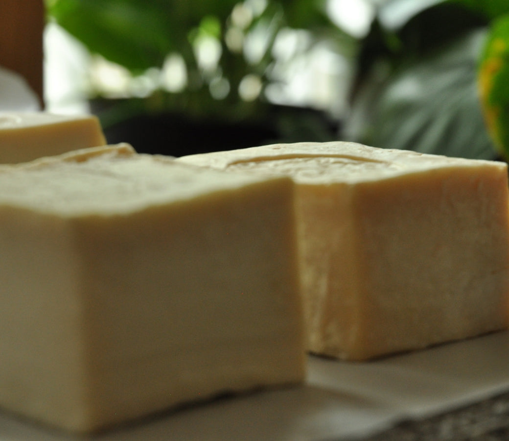 Nablus Soap | The Authentic Palestinian Soap Bar 🫒🌿
